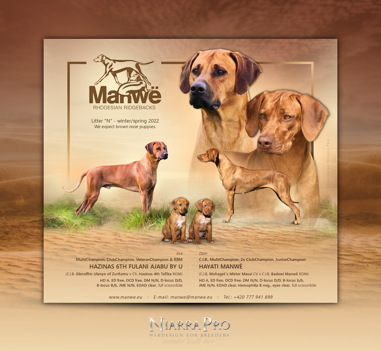 manwe rhodesky ridgeback letacek